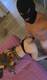 Foto privada de babyteen18