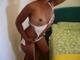 Foto privada de venere_nera