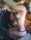 Foto privada de dolceJessy